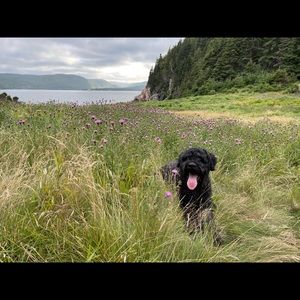 Meet your Posher, Lara